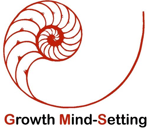 Growth Mindsetter